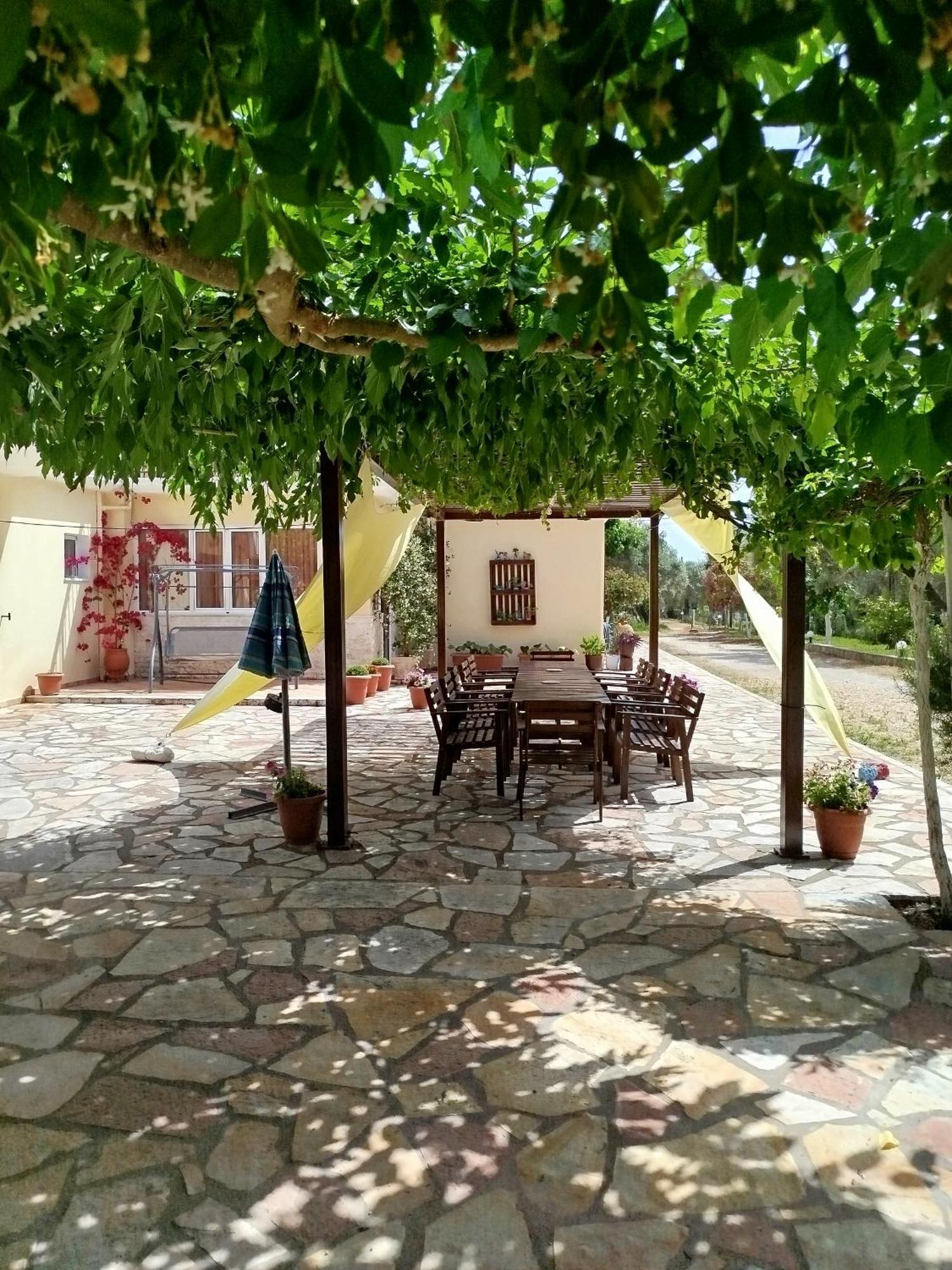 Riverside Αpartments Vasiliki  Exterior photo