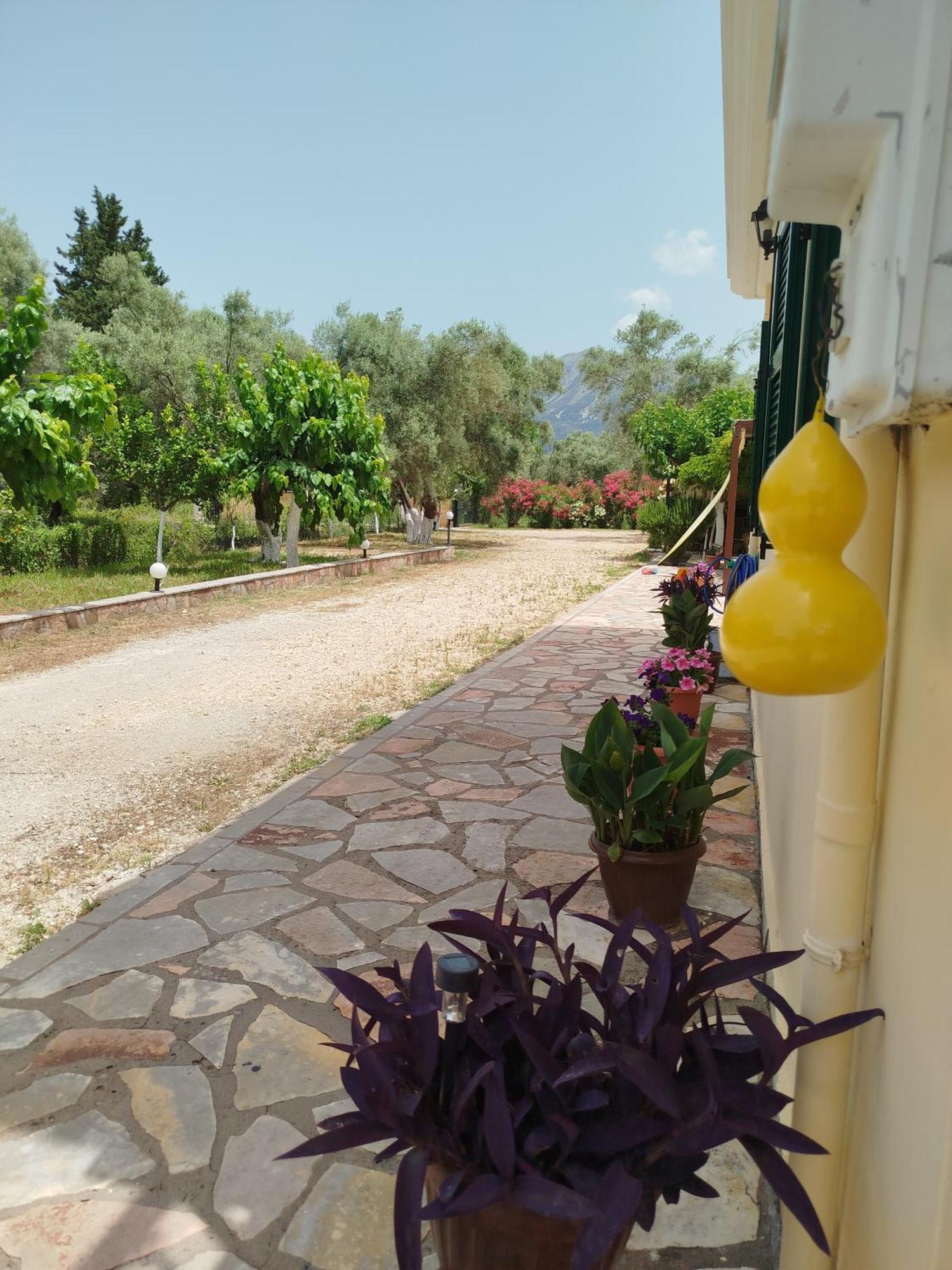 Riverside Αpartments Vasiliki  Exterior photo